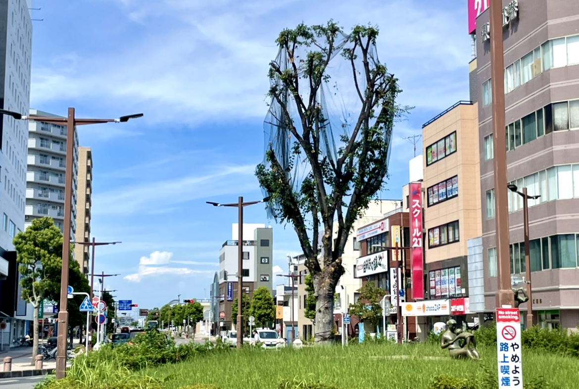 地域に根差した安心感